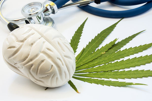 photo of a small model of a human brain resting on a cannabis leaf, with a stethoscope behind them
